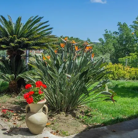 Casa Yucca *